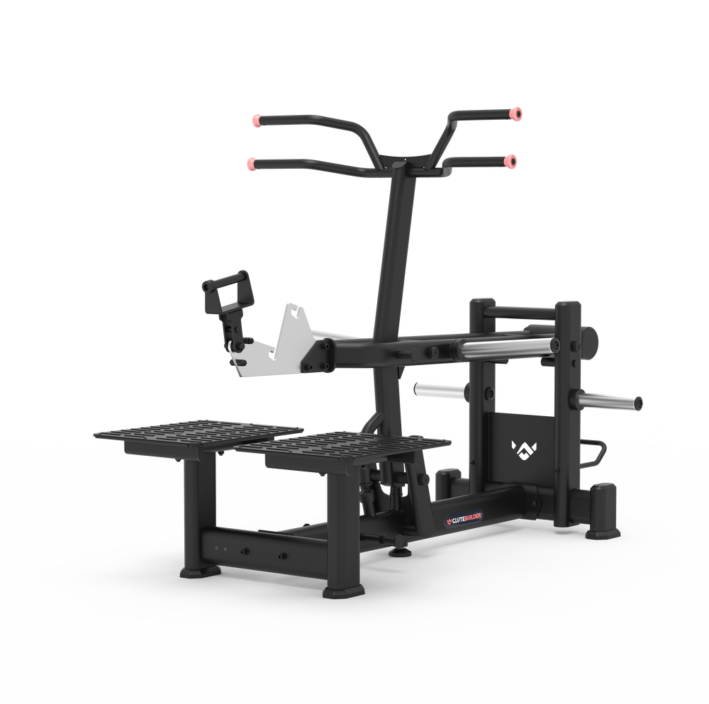 BELT SQUAT / STEP UP